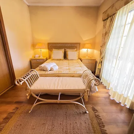 Holiday home Palm Villa *