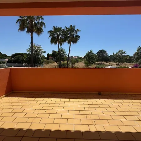 Palm Albufeira